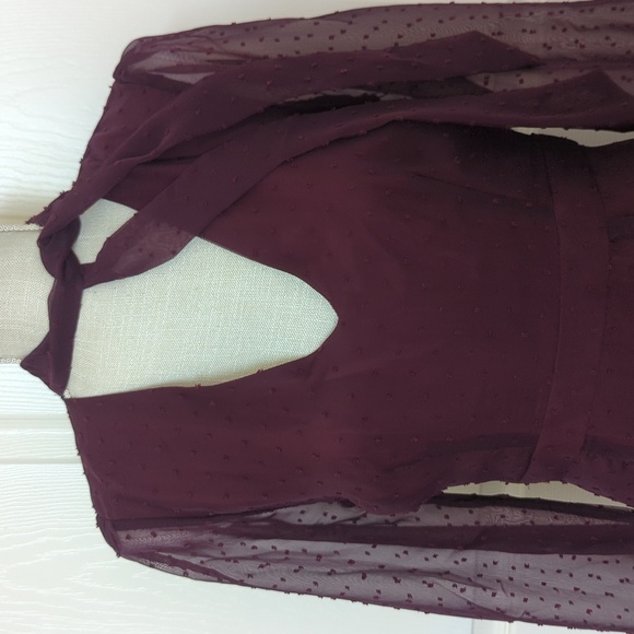 ModCloth Apogee of elegance Plum Swiss Dot long sleeve Dress - Picture 4 of 8